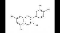 茶叶中的儿茶素是分子吗