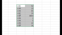 想要统计名字相同人的天数，怎么设置公式？