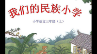 第3自然段中，作者为什么要提及湘妃竹、慈竹、凤尾竹和井冈山的毛竹？