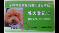 昆明养犬一定要办犬证吗