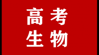 水稻叶片香味检测可以用试管加钢珠破碎检测吗