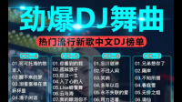 跪求一首DJ舞曲