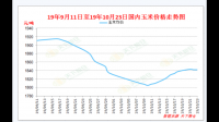 2019年3月9号肇东玉米潮良价格表，谢谢